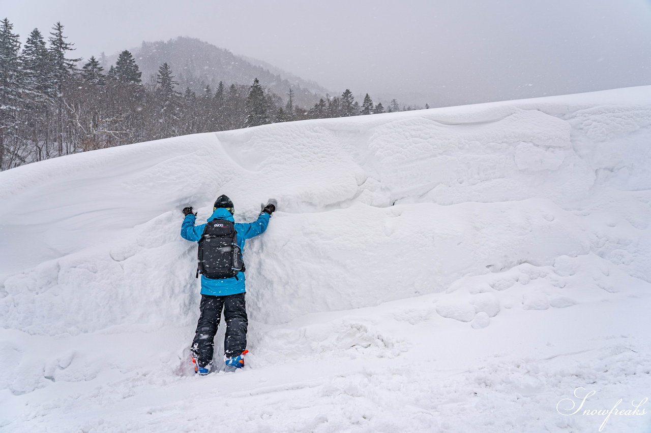 札幌国際スキー場　街は雨でも、山は雪！広々ゲレンデに思う存分シュプールを描こう(^^)/